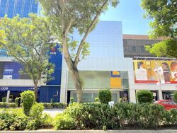 Orchard Emerald Centre (D9), Shop House #459037611